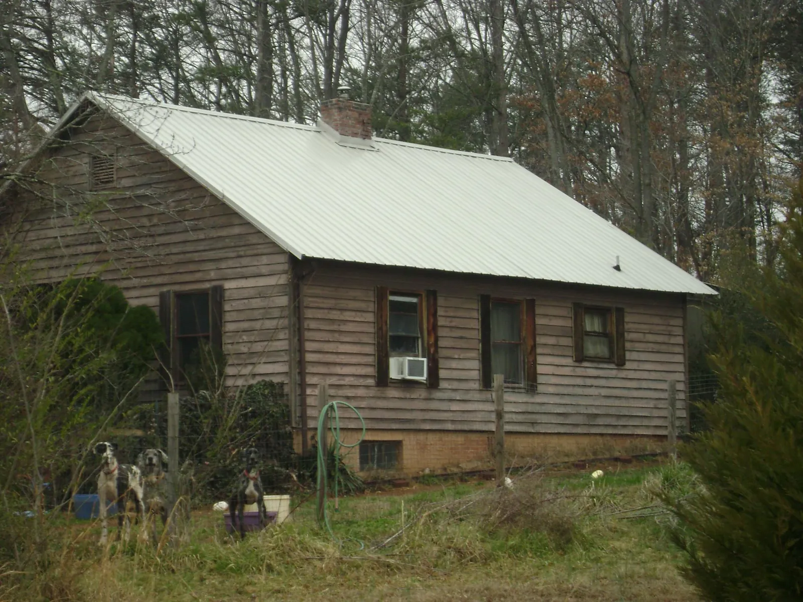 White metal roof on an old wood sided farmhouse, from a Asphalt Shingle Roof Repair job in Arden